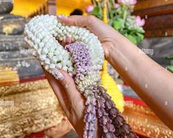 kerala tour